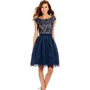 Lace Fit and Flare Dress